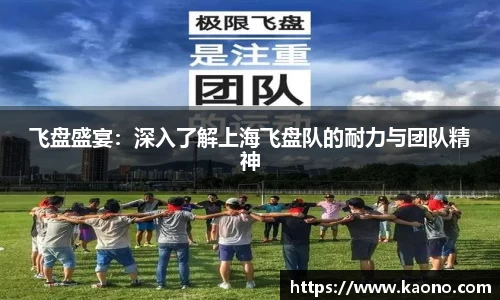 飞盘盛宴：深入了解上海飞盘队的耐力与团队精神