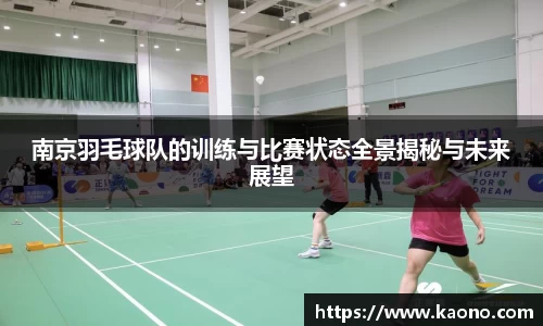 南京羽毛球队的训练与比赛状态全景揭秘与未来展望