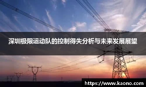 深圳极限运动队的控制得失分析与未来发展展望